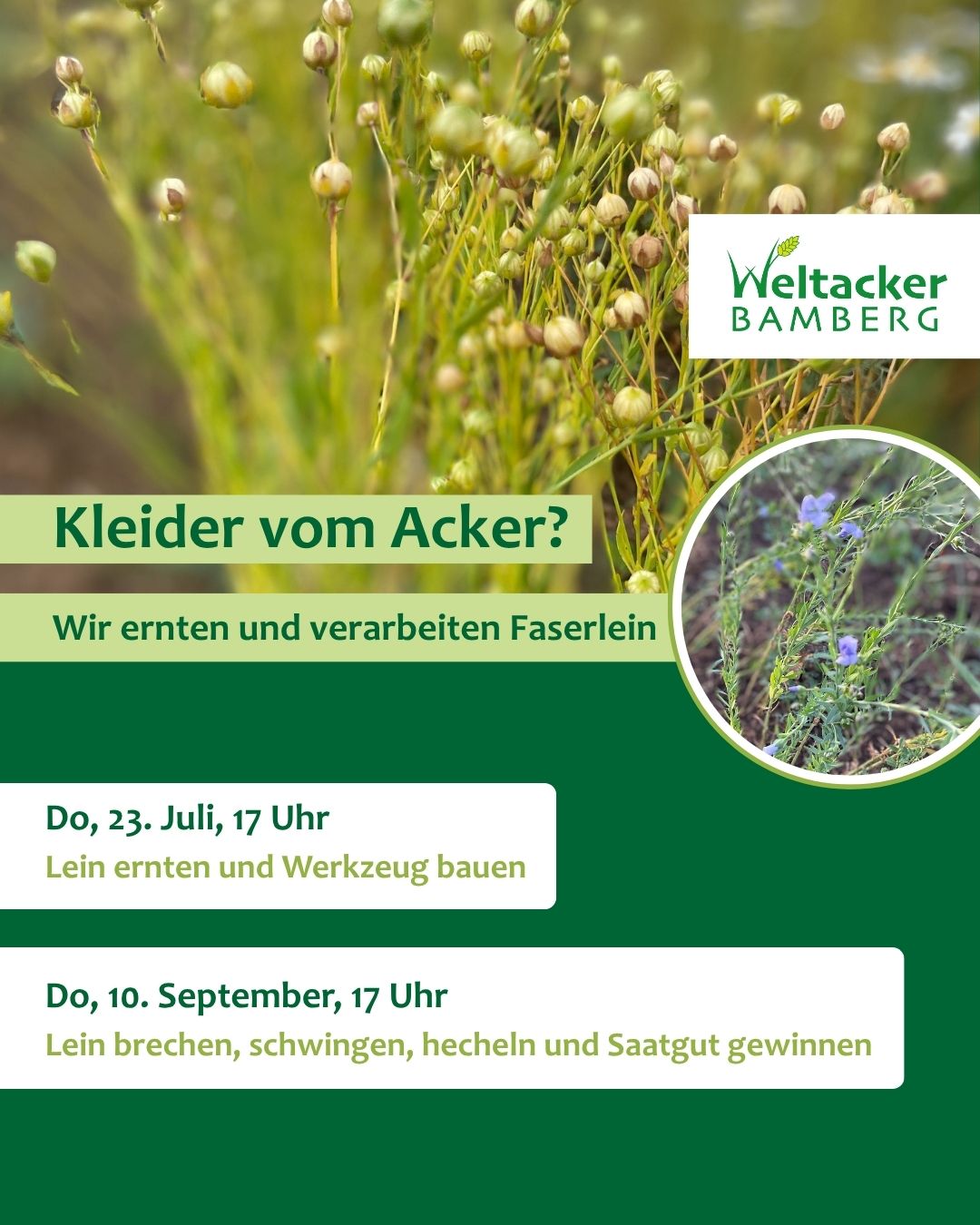 Sharepic_Lein_%20Ernten_Workshops